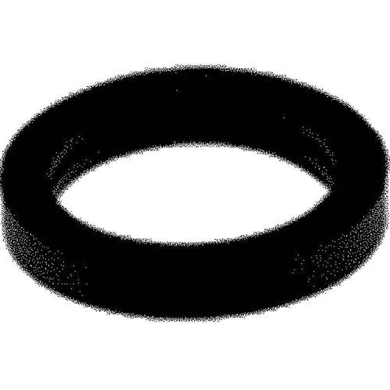 Sierra 18-2519 Seal Ring
