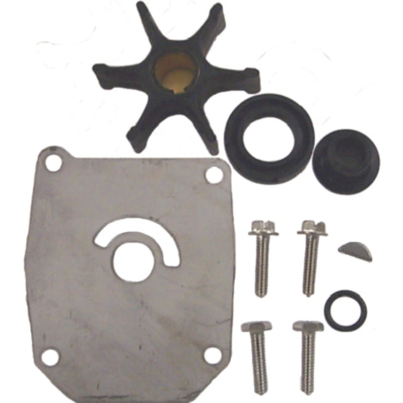 Sierra 18-3376 Water Pump Kit OMC 384956