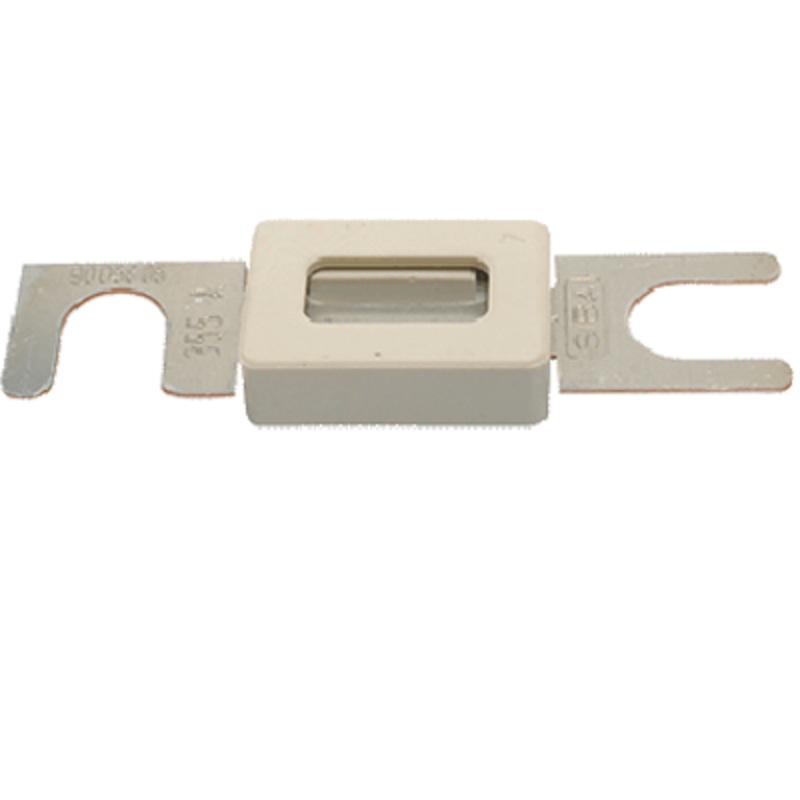 Strip Fuse C20 - 100 Amp.