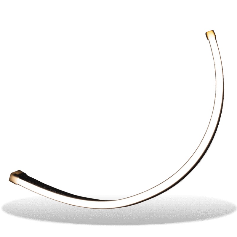 LUX Neon Flex Light, 1 Meter (39)