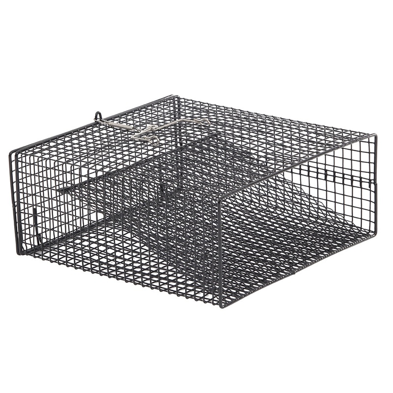 Frabill Crawfish Flat Bottom Square Trap - 12" x 12" x 5"